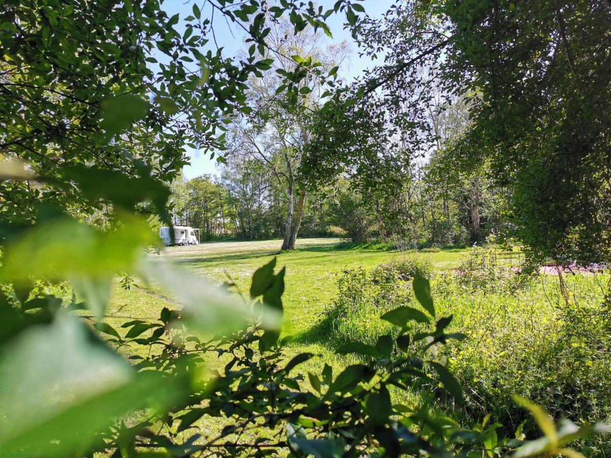 Frederiksvaerk Camping & Hostel Zewnętrze zdjęcie