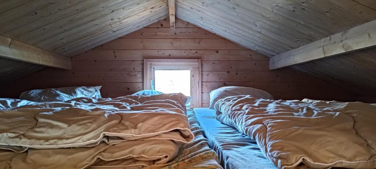 Frederiksvaerk Camping & Hostel Zewnętrze zdjęcie