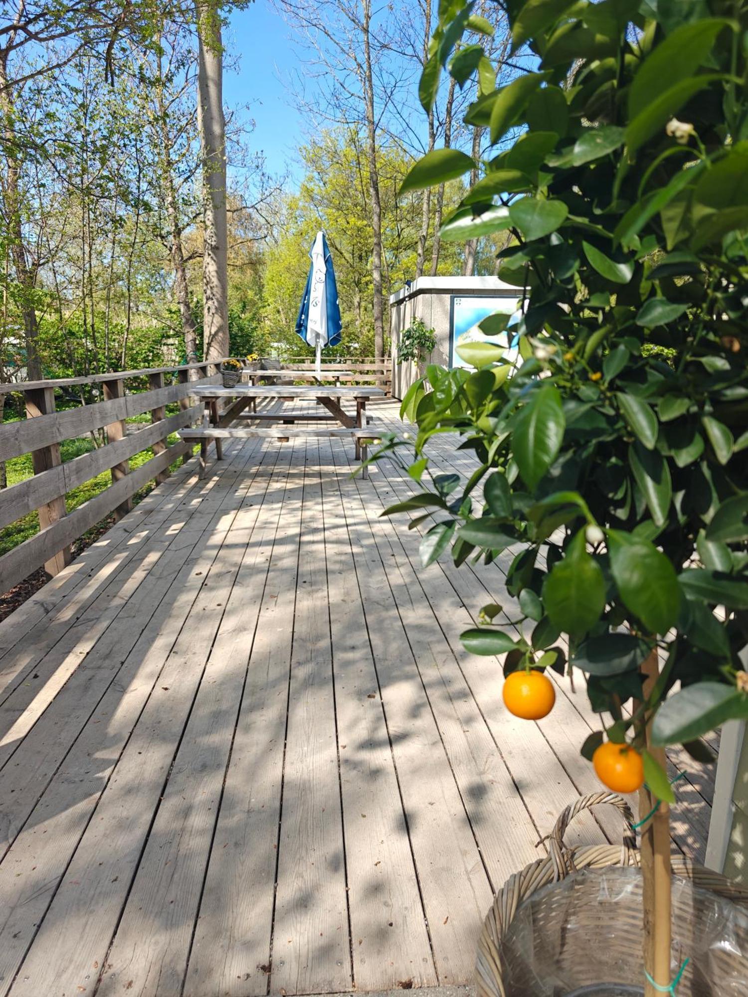 Frederiksvaerk Camping & Hostel Zewnętrze zdjęcie